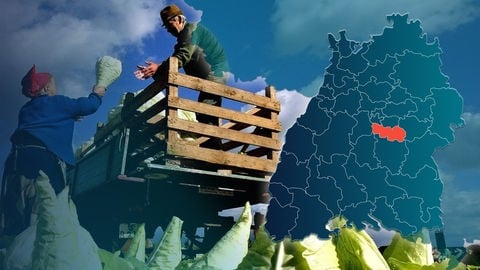 Symbolbild Wahlkreis 262 Nürtingen, Bundestagswahl 2025