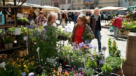 Ein Blumenstand auf dem Freiburger Münstermarkt.
