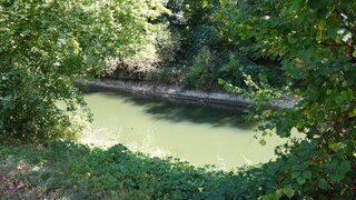 Kocherkanal in Bad Friedrichshall