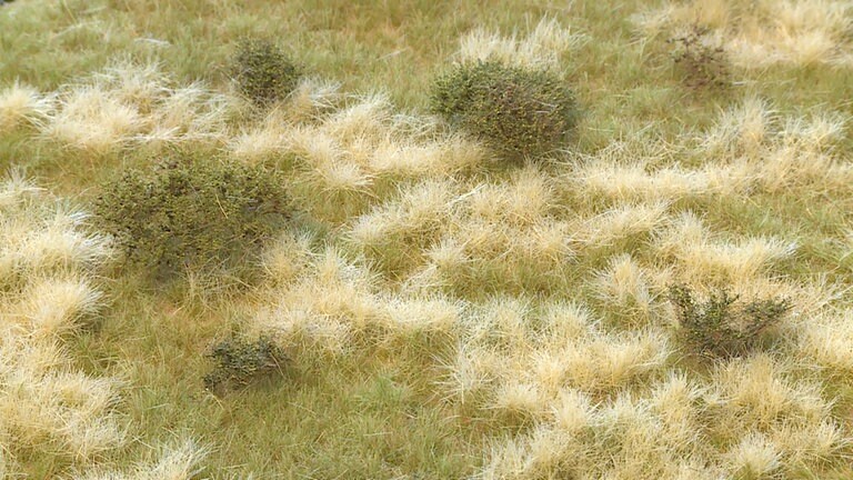 RTS ist ein kleiner Hersteller für Begrünungsmaterialien aller Art