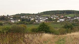 Ortsansicht von Holzfeld