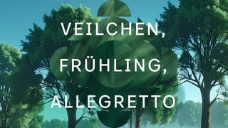 Veilchen, Frühling, Allegretto