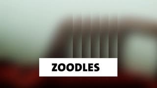 Wort der Woche: Zoodles