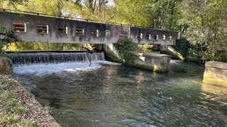 Hier wäre laut einer Machbarkeitsstudie eine stehende Welle zum Surfen möglich: Im Blau Park in Ulm, wo sich der Fluss in die große und in die kleine Blau teilt. 