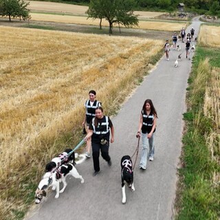 Ehrenamtliche gehen mit Hunden aus dem Tierheim Ludwigsburg Gassi