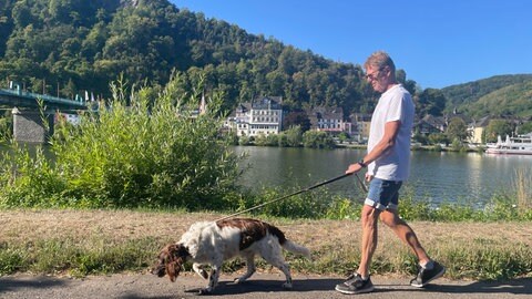Derzeit sind an der Mosel besonders viele Touristen mit ihren Hunden unterwegs. Eine Tierärztin rät zur Vorsicht. 