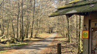 Schilder im Wald, die auf einen sogenannten Leichten Weg hinweisen.