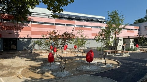 Der Schulhof des Otto-Schott-Gymnasium in Mainz wurde entsiegelt.
