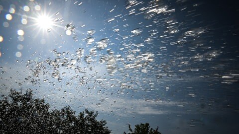 Welche Unternehmen dürfen in Rheinland-Pfalz Grundwasser entnehmen. Wer das Wasser bekommt und wieviel ist eine wichtige Frage in Zeiten von KLimawandel, Hitze und Trockenheit