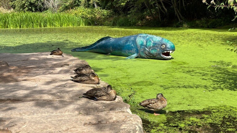 Enten sind bei einem Dino in der Gartenschau Kaiserslautern. 
