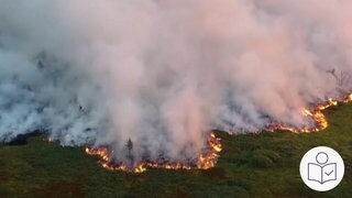 Im Naturschutz·gebiet "Hohes Venn" in Belgien brennt es. Der Wald·brand breitet sich immer weiter aus. Rechts das SWR Logo für Leichte Sprache.