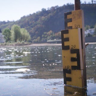 Die Rheinfähre in Kaub: Betrieb wegen Niedrigwasser erneut eingestellt