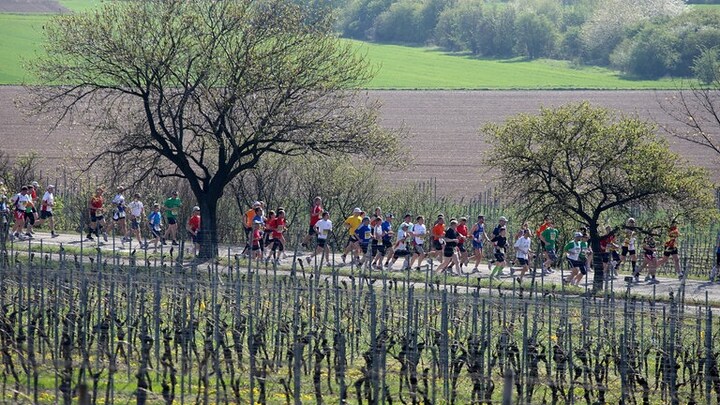 Marathon Deutsche Weinstraße