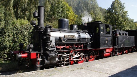 Kuckucksbähnel in Elmstein