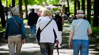 Frauen gehen bei einem Spaziergang durch einen Park.