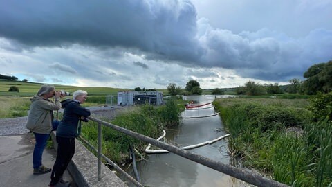Gut drei Monate nach dem Ölunfall bei den "Thürer Wiesen" schauen sich Jörg Hilgers und Tanja Stromberg von der Stiftung für Natur und Umwelt im Landkreis Mayen-Koblenz die Lage vor Ort an.