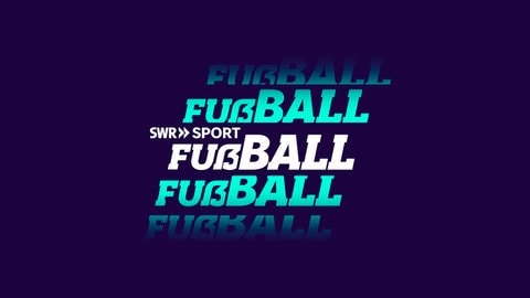 SWR Sport Fußball 
