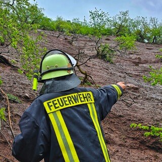 Ein Feuerwehrmann steht an einem kahlgefressenen Hang bei Meckenbach.