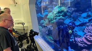 Mit Spezialkameras versuchen Wissenschaftsjournalisten des SWR, den Borstenwurm im Karlsruher Meerwasseraquarium sichtbar zu machen.