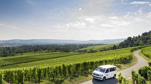 Das Bild zeigt ein SWR Fahrzeug in den Weinbergen