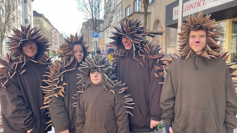 Eine putzige Igelfamilie beim Rosenmontagszug in Mainz.
