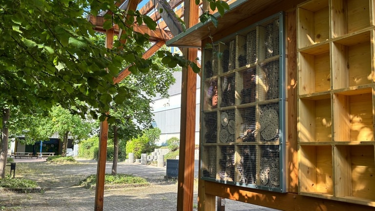 Die Berufsbildende Schule Donnersbergkreis in Eisenberg hat ein Insektenhotel auf dem Schulhof. 
