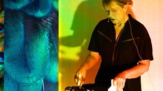 Blaue Vogelfeder auf der linken Seite und die Komponistin und Musikerin Antje Vowinckel auf der rechten Seite