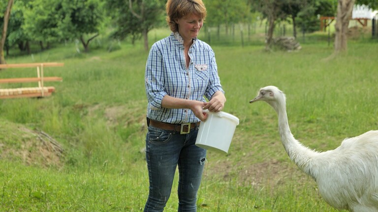 Hierzuland Weyerbusch, Emu