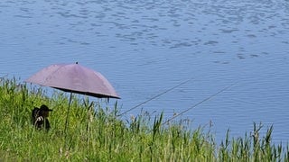Ein Angler sitzt unter einem Sonnenschirm. Illegales Angeln ist ein Problem für Vereine und auch die Natur.