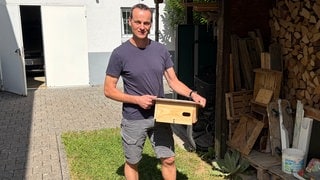 Vogelfreund Klaus Hanke gibt Mauerseglern ein Zuhause. Immer mehr der natürlichen Nistplätze dieser Vogelart gehen verloren. 