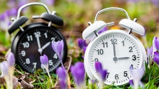 Zeitumstellung auf die Sommerzeit: Ein schwarzer und ein weißer Wecker stehen zwischen blühenden Blumen auf einer Wiese. Der eine zeigt zwei Uhr an, der andere drei Uhr.