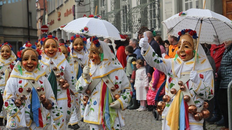 Impressionen vom Landschaftstreffen der Vereinigung Schwäbisch-alemannischer Narrenzünfte in Lindau.