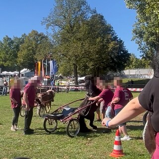 PETA hat eine Aufnahme veröffentlicht, in der ein Pony vor einer Kutsche steigt. Das Bild soll Anfang September auf dem Bietigheimer Pferdemarkt entstanden sein. 