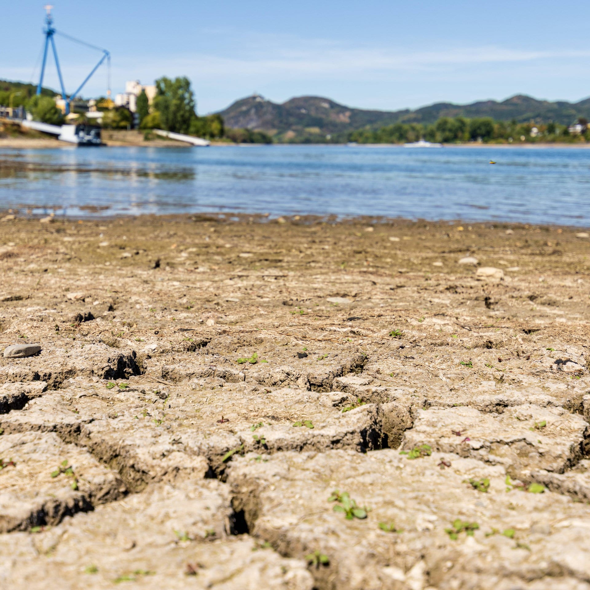 Das lange Gedächtnis der Natur - Die Trockenheit wird noch lange zu spüren sein