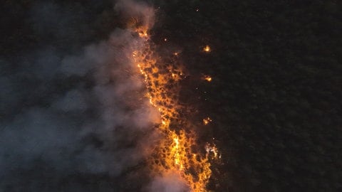 Waldbrand bei Dahn im Pfälzerwald