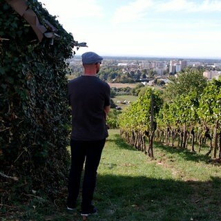 Vater des Missbrauchsopfers aus Edenkoben steht in einem Weinberg
