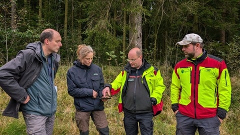 Mitarbeiter der Stiftung Natur und Umwelt Rheinland-Pfalz arbeiten mit Forstämtern zusammen, um Moore besser zu schützen wie hier in der Schneifel bei Prüm. 