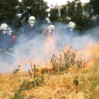 Feuerwehrleute aus Mainz löschen einen Flächenbrand. Das Feuer haben sie zu Übungszwecken selbst gelegt