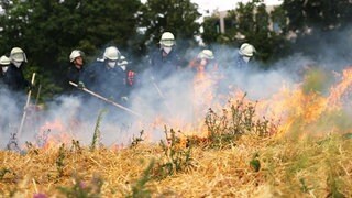 Feuerwehrleute aus Mainz löschen einen Flächenbrand. Das Feuer haben sie zu Übungszwecken selbst gelegt