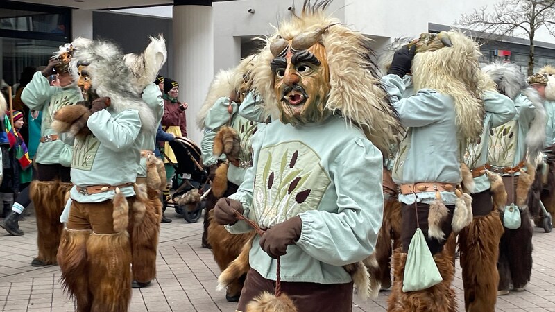 Der Große Narrensprung in Friedrichshafen 2026. Fastnacht am Bodensee auch bei Regen.