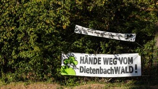 Zwei Banner mit der Aufschrift "Hände weg vom Dietenbachwald!" sind neben einem Fahrrdweg gespannt. 