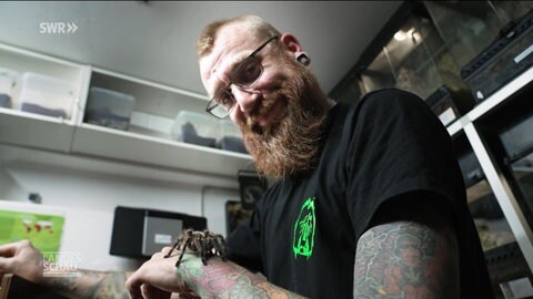 Patrick Meyer mit einer Vogelspinne auf dem Arm