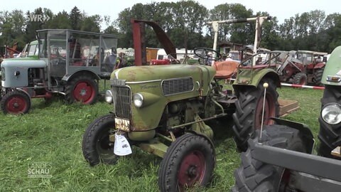 Oldtimer-Traktoren