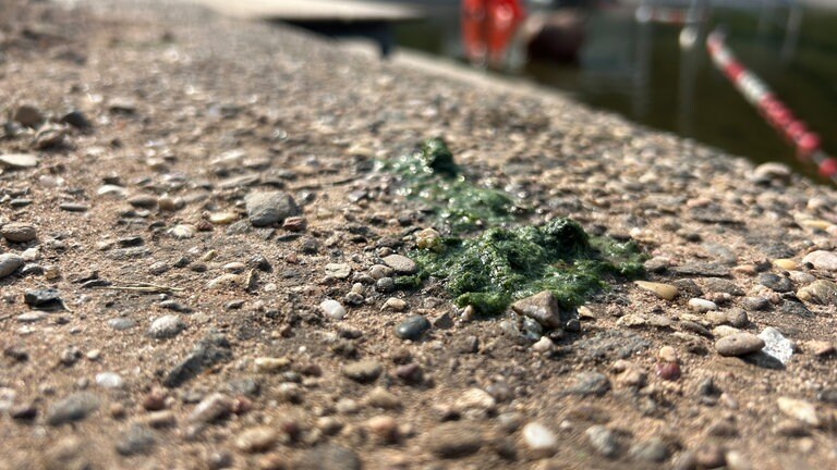 Auf frischer Tat erwischt. Es ist nicht auszuschließen, dass auch mal etwas im Wasser landet.