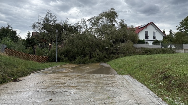 Auch am Nordurfer des Bodensees, in Überlingen (Bodenseekreis), richtete das Unwetter in kurzer Zeit große Schäden an. So fällte der Sturm etwa diesen großen Baum, der eine Straße blockiert.