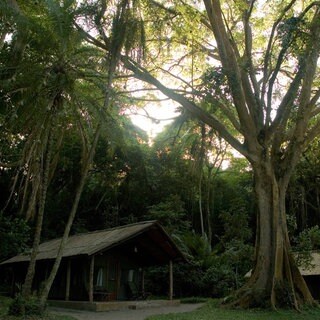 Rubondo Island in Tansania