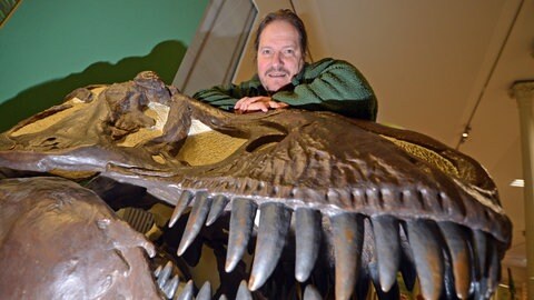 Der Dinosaurierforscher Eberhard "Dino" Frey im Staatlichen Museum für Naturkunde Karlsruhe am Schädelabguss eines Tyrannosaurus rex, eines Raubsauriers