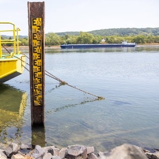 Symbolbild: Wegen des Niedrigwasser hatten sich am Wochenende bei Oppenheim mehrere Schiffe festgefahren.