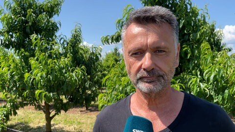 Tobias Wicke zum Obstklau 