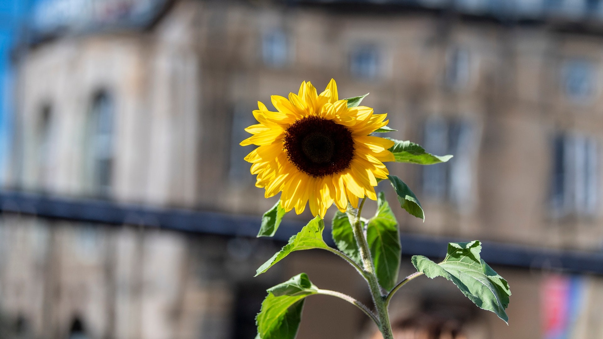 Klimaanpassung oder Klimaschutz - was ist wichtiger?